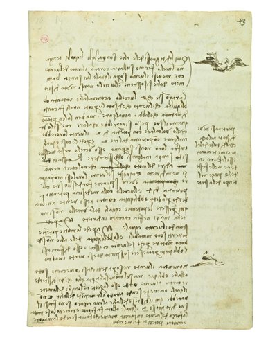 Códice sobre el vuelo de los pájaros, Folio 13 recto de Leonardo da Vinci